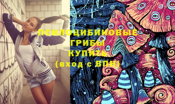 индика Абаза