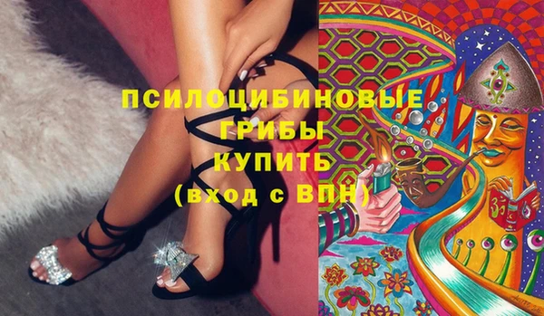 бошки Алзамай