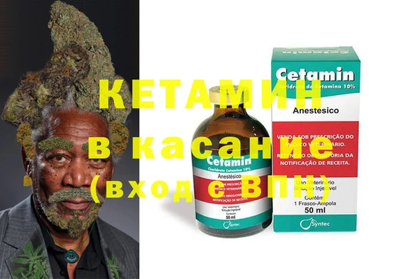 индика Абаза