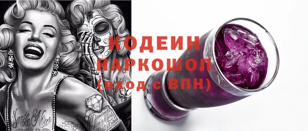 индика Абаза