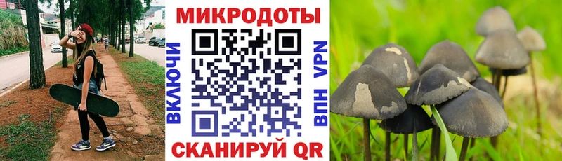 Псилоцибиновые грибы Psilocybine cubensis  Ханты-Мансийск 